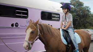 My little pony party ideas and inspirations. Little Bo Peep S Travelling Sheep And Pony Rides Baby Birthday Video Blog Auckland Wedding Videographers