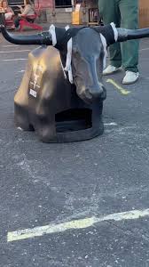 Tomorrow night @r_bar_ thr @blacktoprodeoco boys will be here! Come give it  a shot! All levels welcome. Come rope or watch either way you will have a  blast