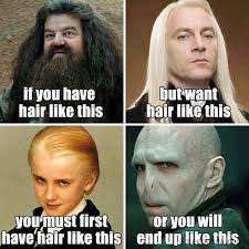 Hair Ideas Harry Potter Hair Meme If You Have Hair Like Hagrid But You Want Hair Like Lucious Malfoy You Must Hairstylist Humor Hairstylist Memes Hair Meme