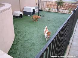 It also is good for older dogs that have forgotten their potty training concept and are struggling. Artificial Turf For Dogs A Great Solution For Your Pups