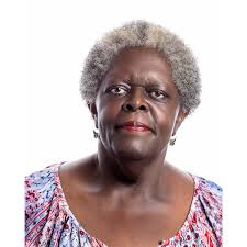 DET/CHE 2017: Directory