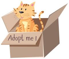 Trade, buy & sell adopt me items on traderie, a peer to peer marketplace for adopt me players. Bilder Adopt Me Gratis Vektoren Fotos Und Psds