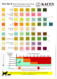 Kacey Diagnostics Urinalysis