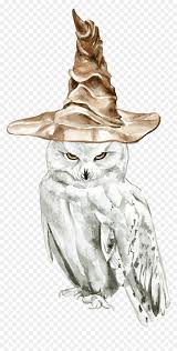 Owl Drawing Illustration Harry Potter Sketch Harry Potter Owl Drawing Hd Png Download Vhv You can watch our lessons in. owl drawing illustration harry potter