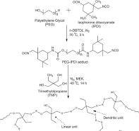 Synthesis and characterization of poly(ethylene glycol) (PEG ...