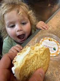 WIFE SAVER FURY'S FERRY...