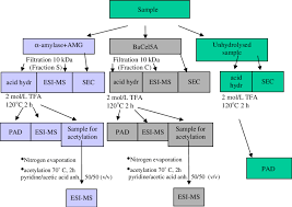 flowchart of sample treatment from unhydrolysed polymer to