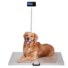 The Ultimate Guide to Digital Pet Scales