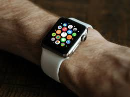 This toy will distract your pet for a while, and they get a reward when they play with the toy. How To Play Music And Other Audio On An Apple Watch