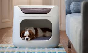 Shop wayfair for the best bunk beds for dogs. Container Door Ltd Curver Pet Bunk Bed 1