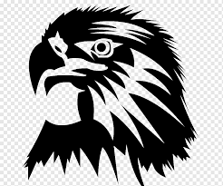 Check spelling or type a new query. Burung Elang Elang Botak Gambar Bayangan Hitam Paruh Hitam Dan Putih Burung Pemangsa Kepala Rambut Wajah Elang Botak Paruh Burung Png Pngwing