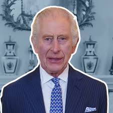 King Charles Cancer Update Given by Nephew