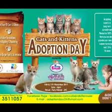 Here's a list of organisations that host adoption days. Forever Pets Adoption Home Facebook