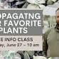 Propagating Our Favorite Plants at Lowe's Greenhouse