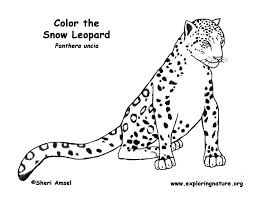 Toca boca coloring pages are waiting for you on this page. Kawaii Snow Leopard Coloring Page Novocom Top