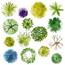 Garden Plans Stock Photos Images Royalty Free Garden Plans Images And Pictures Trees Top View Landscape Plans Watercolor Trees