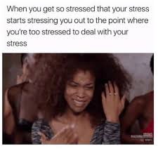 The Inception Of Stress Follow Skinscrubbers Follow Skinscrubbers Stressed Meme Stupid Funny Memes Funny Relatable Memes