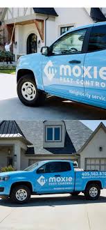 What chemicals are to be used as pest control in foundation / plinth? Facebook