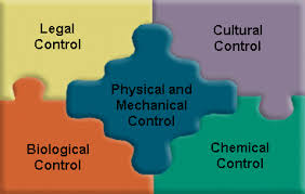 In agriculture, integrated pest management (ipm) is a pest control strategy that uses an array of complementary methods: Integrated Control