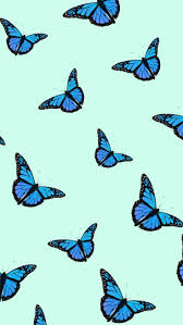 Butterfly light sticker iphone orange aesthetic background cute butterflies pink baby wallpapers pretty desde society6 guardado screen yellow amazonaws. Blue Butterfly Aesthetic Wallpapers Top Free Blue Butterfly Aesthetic Backgrounds Wallpaperaccess