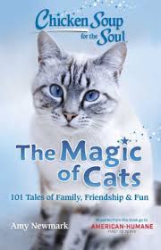 Found his personal chef on instagram. Chicken Soup For The Soul The Magic Of Cats 101 Tales Of Family Friendship Fun By Amy Newmark Paperback Barnes Noble