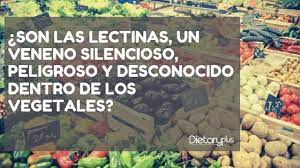 La actitud (del latín actitūdo), puede ser definida como la manifestación de un estado de. Son Las Lectinas Un Veneno Peligroso Y Desconocido En Los Vegetales