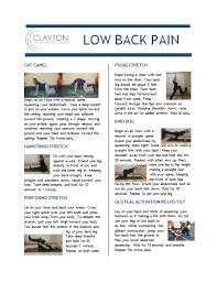 When performing the cat, most people extend well at the lumber spine (low back) over time, the uneven distribution of force causes wear and tear which leads to pain and dysfunction. Low Back Pain Exercises Everyone Should Be Doing Clayton Chiropractic Center St Louis Chiropractor And Acupuncture