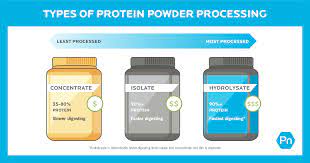 How To Choose The Best Protein Powder A Guide From Precision Nutrition