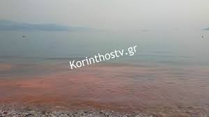 Τρία σκυλιά δολοφονημένα με φόλες στην αλμυρή κορινθίας. Kokkinhse H 8alassa Sthn Paralia Sta Loytra Wraias Elenhs Kai Almyrh Korin8ias Video Fwto Loutrakiblog
