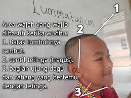 Kitab Safinah ! 6 Fardhu Wudhu yang Wajib diketahui