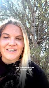 Treehugger fact!, The wood of the desert ironwood tree is one of the  heaviest in the world., #treehugger