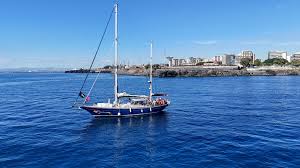 تحالف أسطول الحرية: قرع جرس الإنذار على متن السفينة مادلين المتجهة إلى غزة  - SWI swissinfo.ch