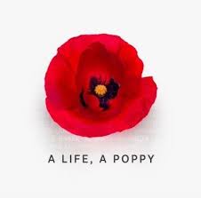 All members of the armed forces, veterans and their families save 20% on this exclusive collection of fresh flowers, delicious treats and more original gifts that. Pramod Dabas Director Of Architecture Usaa Linkedin