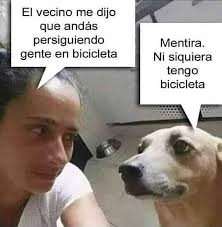 😹🐶🐾 Creditos a quien corresponda