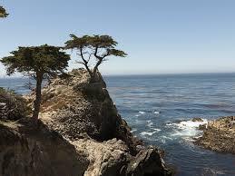 Température de l'eau, indice uv et état de la mer… Pourquoi L Eau Est Elle Plus Froide A L Ouest Des Continents Actualites Nautisme