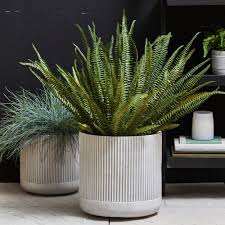 Give your plants somewhere beautiful to live! 16 00 For Elements Cream Fibre Clay Ribbed Plant Pots Cream Deal Direct Co Uk