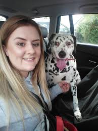 Should we nominate a certain horse for special award category