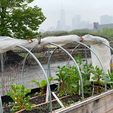 Congrats 🎉 to more of our 🎓 grads! Wishing all the best to Simon Minich,  Alec Pritchett, Peter Regich, and Reagan Rowland.