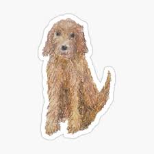 The ultimate source for your dog & cat's accesories. Irish Doodle Dog Gifts Merchandise Redbubble