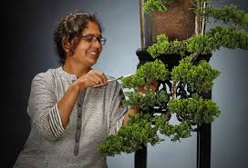 Click the below link to view our official business page. Largest Collection Of Bonsai Trees World Records India First World Records Book 2021
