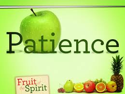 Taber S Truths Top Ten Reviews Expert Product Reviews Fruit Of The Spirit Fruits Of Holy Spirit Patience