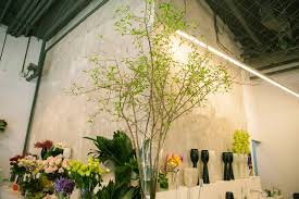The city ranks as the number one biggest earner in the country. Banchet Flowers Manhattan Sideways