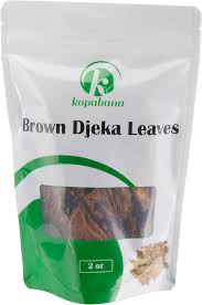 Image result for Alchornea cordifolia