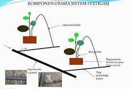 Saya ingin kongsikan progres fertigasi mini di rumah saya yang tak seberapa dan baru bermula. Fertigasi 2020 Home
