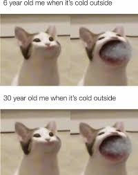 Maybe you would like to learn more about one of these? Such Fun Pop Cat Know Your Meme
