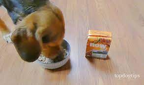 Review Petcurean Now Fresh Wet Dog Food Wet Dog Food Best Dog Food Food Animals
