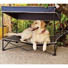 We did not find results for: Find Your Picky Pup The Perfect Dog Bed Healthy Paws Pet Insurance