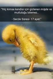 Bu Mujde Ve Umudu Yasamimin Sonuna Kadar Bekleyecegim Ozlu Sozler Edebiyat Dualar