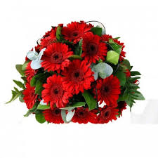 Warm wishes florist (the company) the company current operating status is live. Warm Wishes With Red Gerbera At Rs 499 Bunch Kolkata Id 21251872962