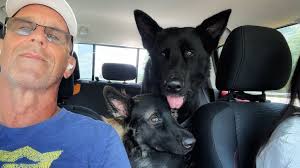 My boys enjoy their weekly doggy swims at Gumhaven for about a year now.  It's been amazing to watch Bentley and Ajax have so much fun splashing and  playing in the pool.